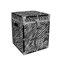 Zebra Cube